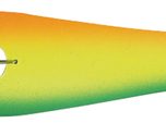 Q40230Nessy papegoja klar